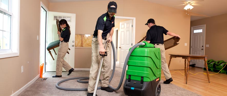 Redmond, WA cleaning services